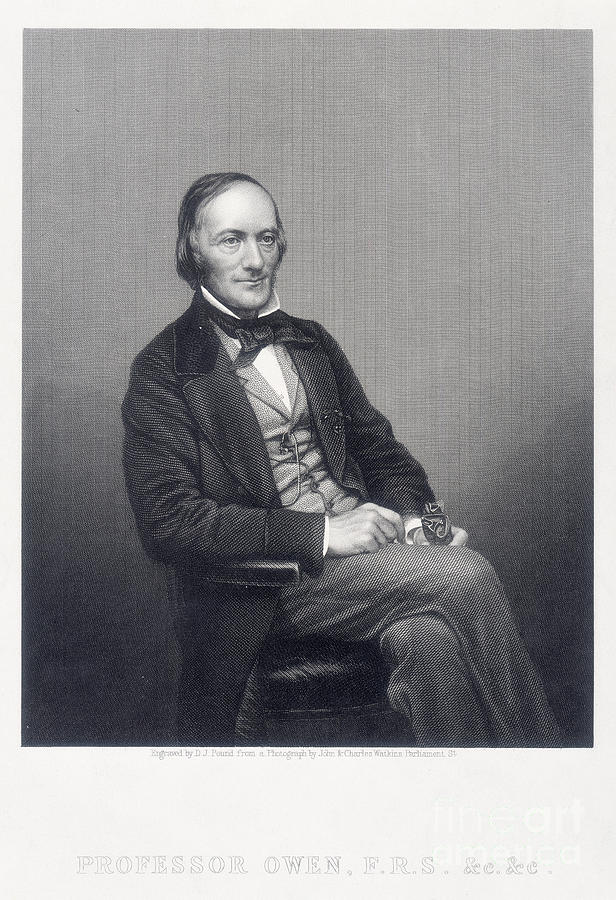 Sir Richard Owen, English Zoologist Drawing by Print Collector