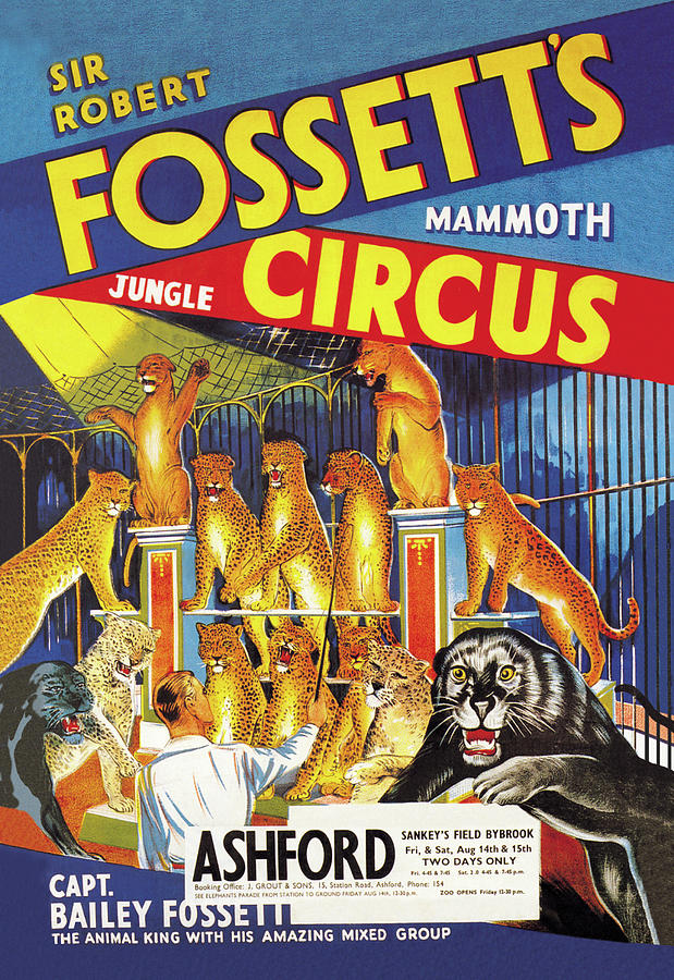Sir Robert Fossetts Mammoth Jungle Circus Painting by Unknown