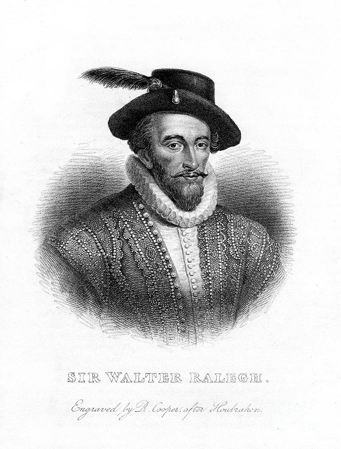 Sir Walter Raleigh, Writer, Poet Drawing by Print Collector