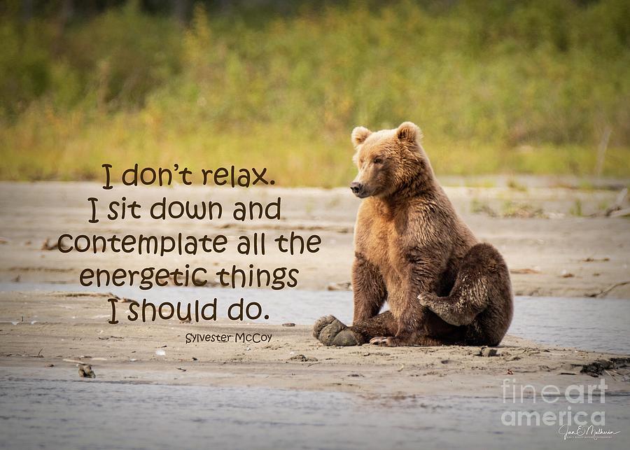 Sit and Contemplate - bears Photograph by Jan Mulherin - Pixels