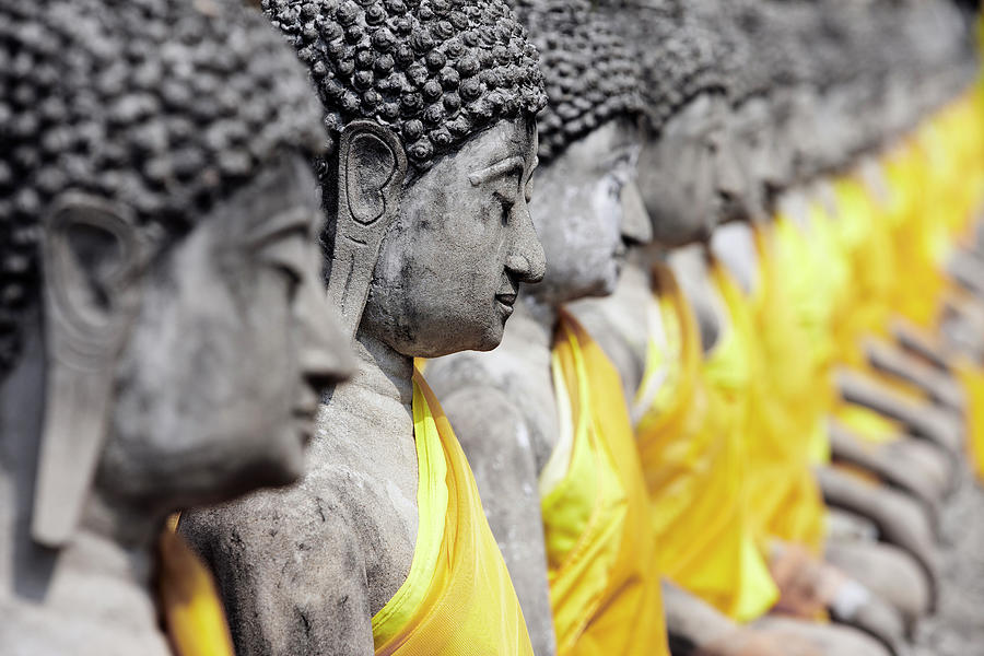 Sitting Buddha Statues Digital Art by Richard Taylor