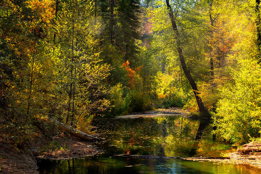 Sitting By The Creek Watching The Leaves Photograph by Saija Lehtonen