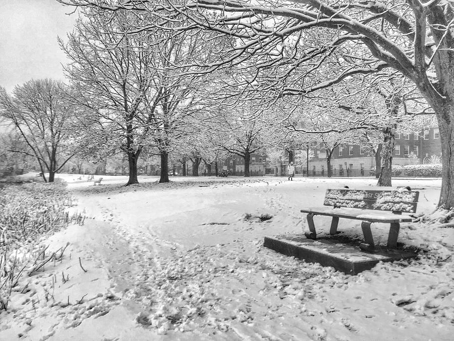 Sitting in the Snow Photograph by Alexandra Herzog - Fine Art America