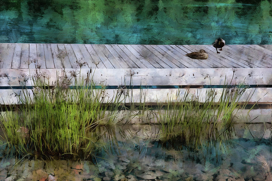Sitting On The Dock  Digital Art by Leslie Montgomery
