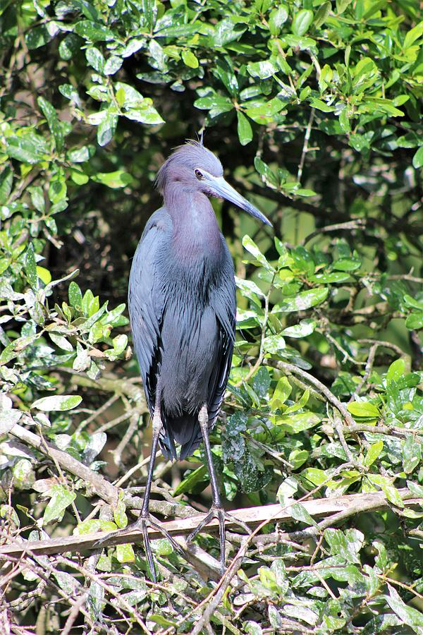 Sitting Pretty by WhiteoakorganicsLLC Gallery Sitting Pretty by WhiteoakorganicsLLC Gallery
