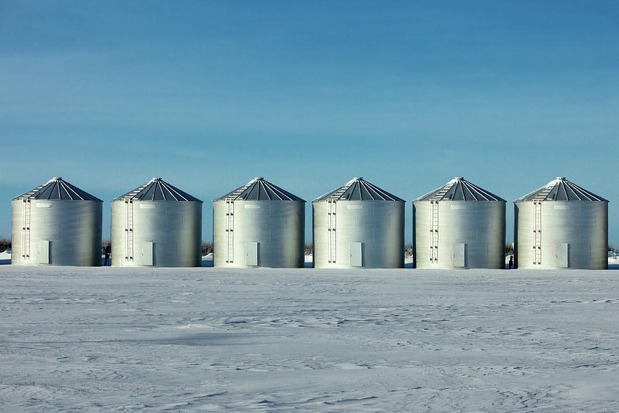Winter Photograph - Six Bins in a Row by Todd Klassy