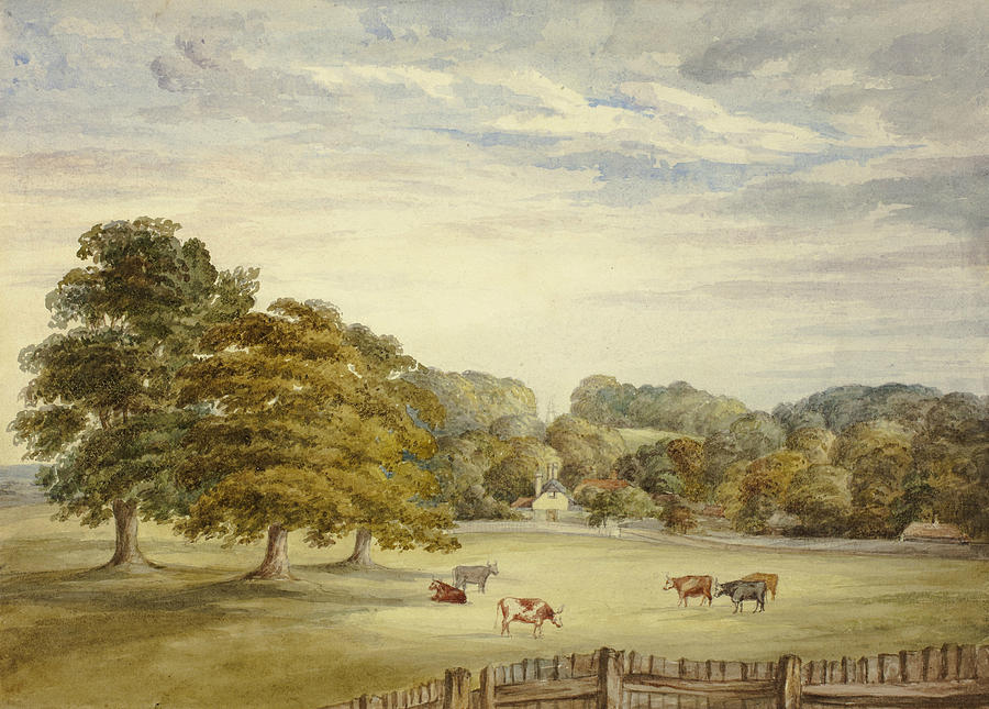 Six Cows Grazing before Country House Drawing by Elizabeth Murray