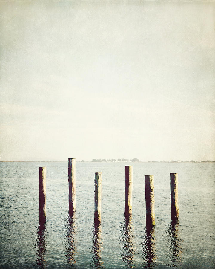 Six Pilings Photograph by Lupen Grainne