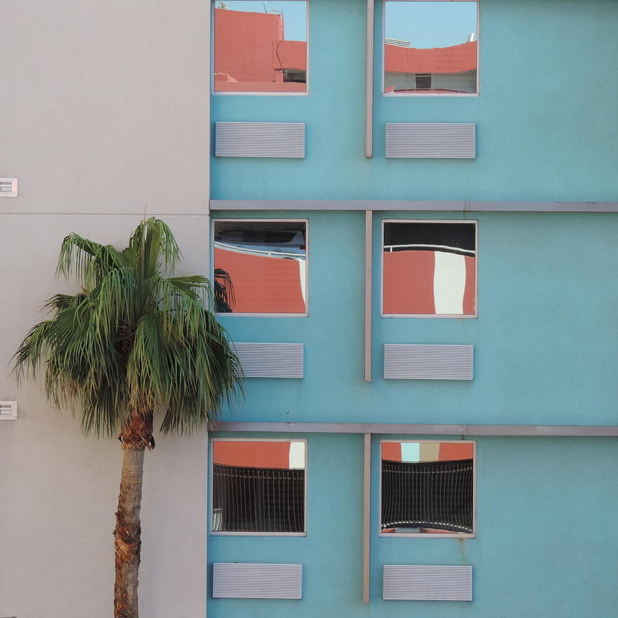 Six Windows and A Palm Tree Photograph by Bill Tomsa