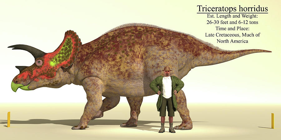 Size Reference Chart Of A Triceratops Photograph by Arthur Dorety