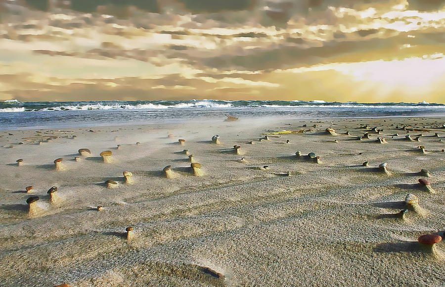 Skagen Peninsula by Anthony Dezenzio Skagen Peninsula by Anthony Dezenzio