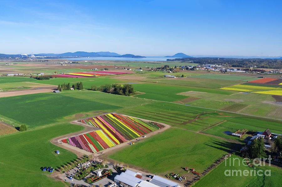Skagit Aerial North Photograph by Louise Magno