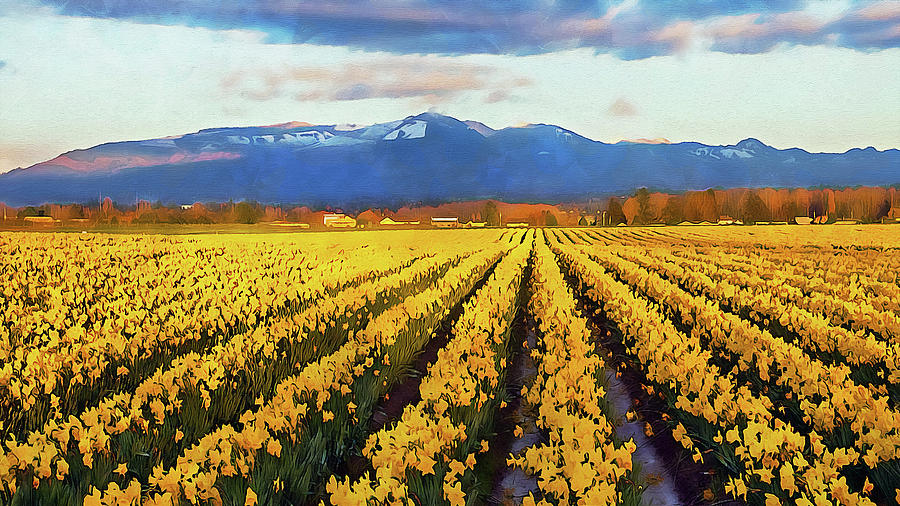 Skagit Valley - 14 Painting by AM FineArtPrints
