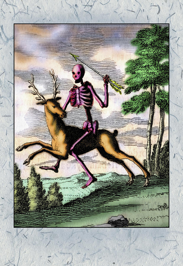 Skeleton on Buck Painting by Unknown