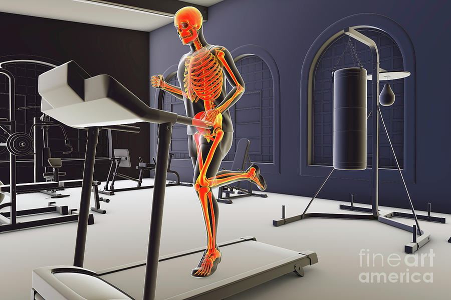 Sports Photograph - Skeleton Running On A Treadmill by Kateryna Kon/science Photo Library