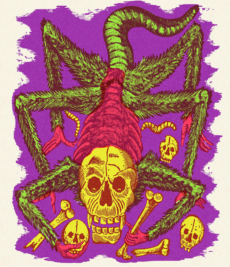 Vintage Drawing - Skeleton Scorpion by CSA Images