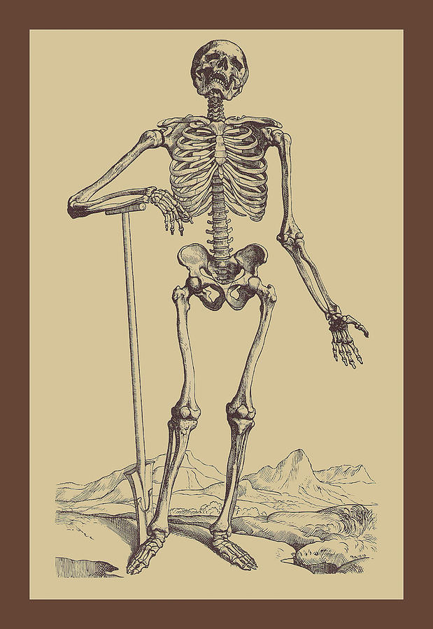 Skeleton with Shovel Painting by Andreas Vesalius
