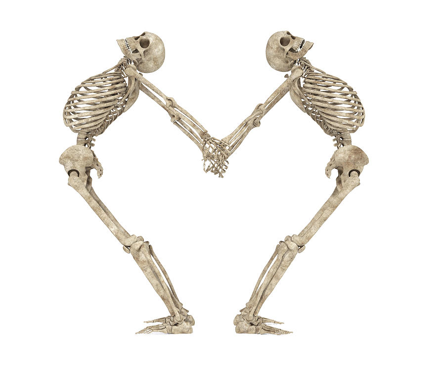 Skeleton Digital Art - Skeleton Yoga 001 by Betsy Knapp