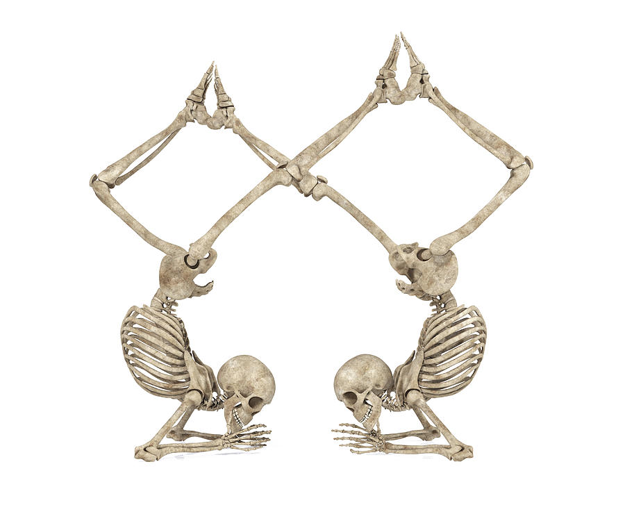 Skeleton Digital Art - Skeleton Yoga 002 by Betsy Knapp Skeleton Digital Art - Skeleton Yoga 002 by Betsy Knapp