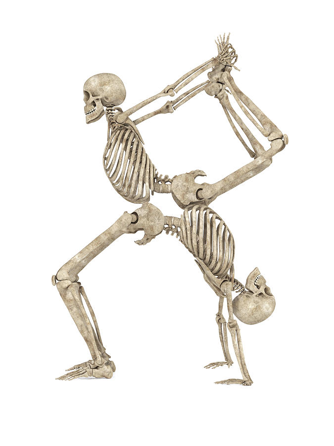 Skeleton Yoga 003 Digital Art by Betsy Knapp - Fine Art America