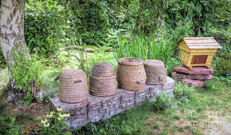 Skep Beehives Photograph By Elisabeth Lucas