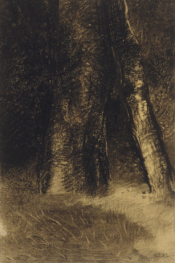 Sketch of Trees Drawing by Odilon Redon