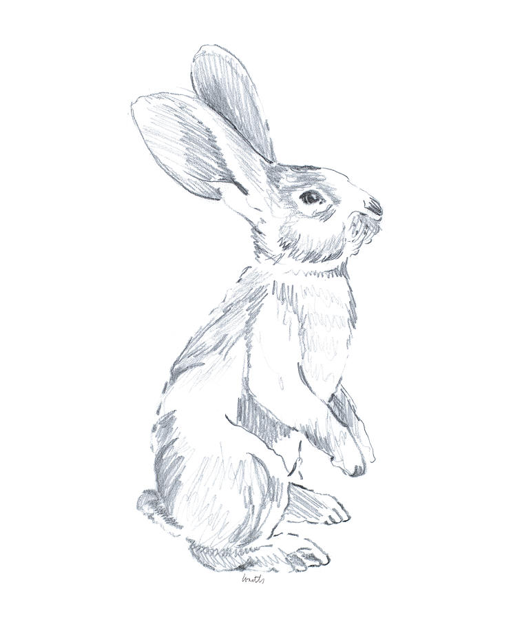 Easter Drawing - Sketched Rabbit I by Lanie Loreth