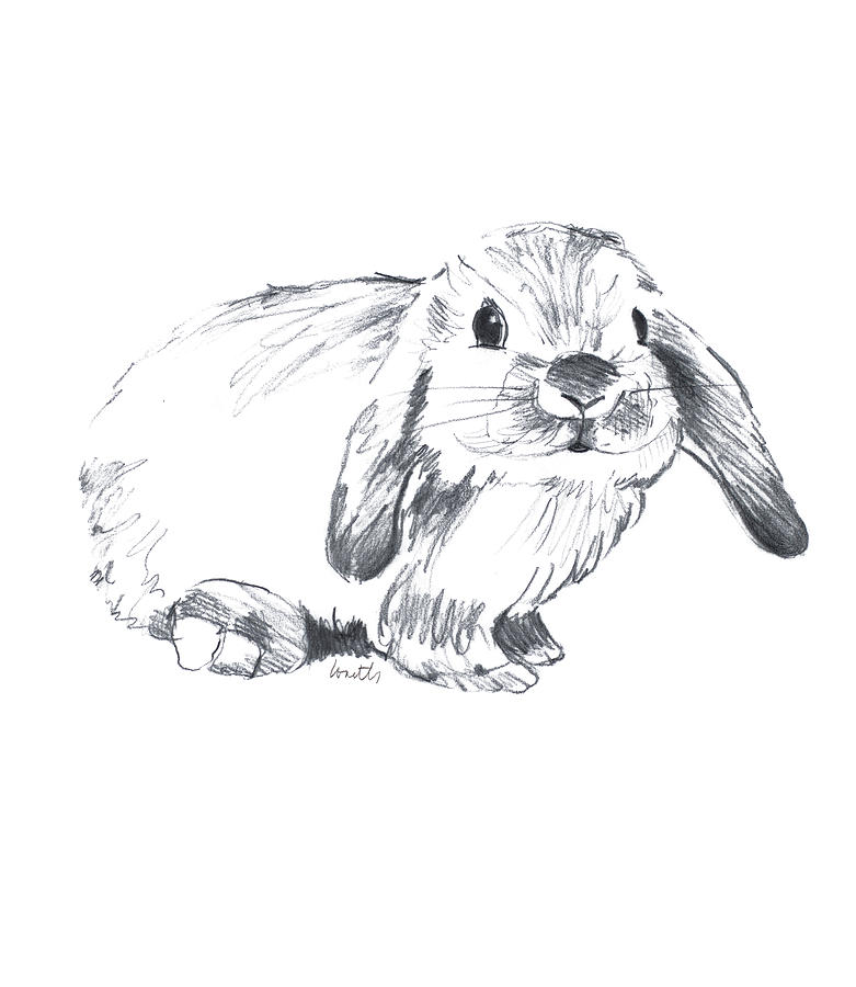 Easter Drawing - Sketched Rabbit Iv by Lanie Loreth