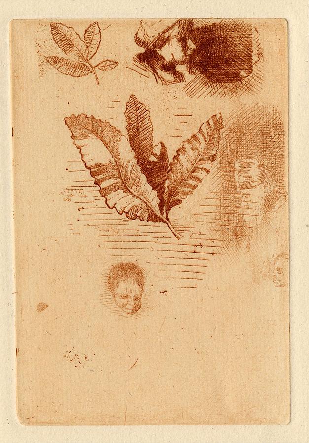 Sketches of Leaves and Two Heads, 1866-70 Painting by Odilon Redon - Pixels