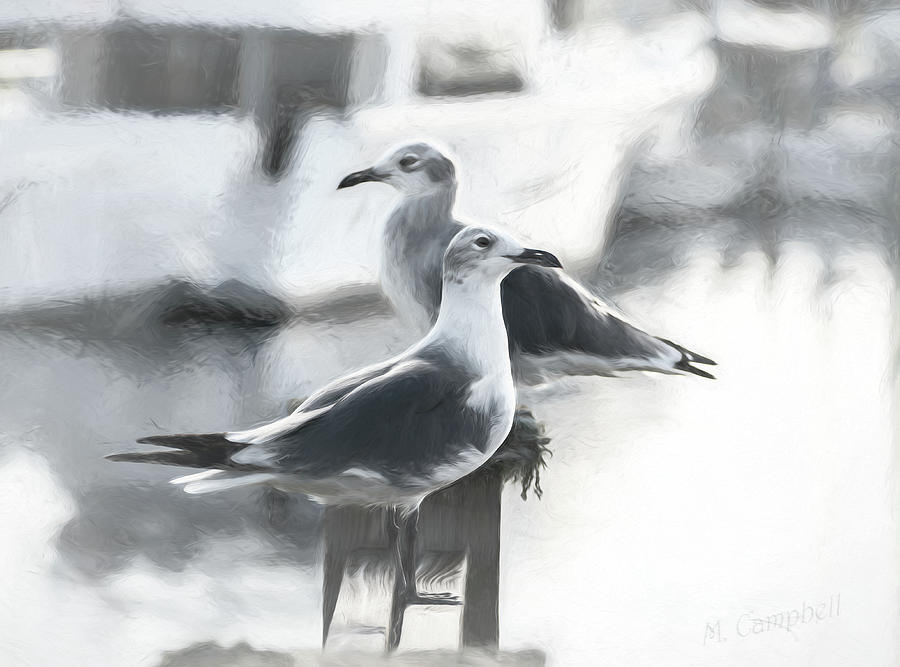 Sketchy Gulls by Michael Campbell Sketchy Gulls by Michael Campbell
