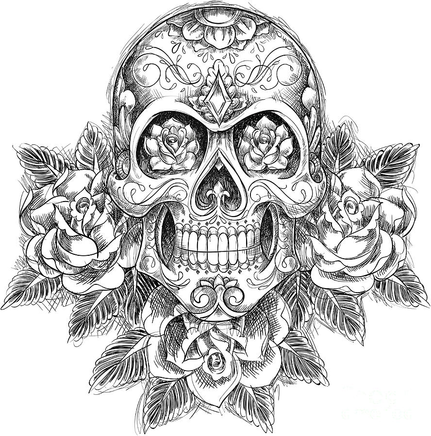 Sketchy Skull With Roses Digital Art by Tairy