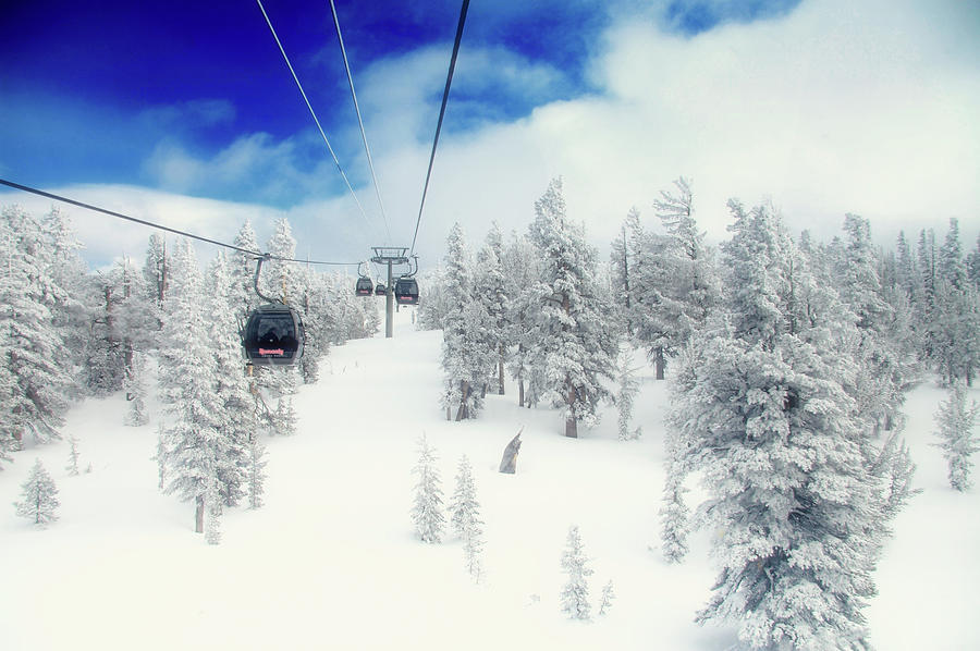 Ski Lifts Over Snowscape Photograph by Christopher Chan