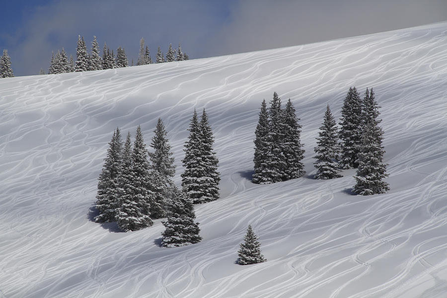 Ski Tracks In Powder Snow Photograph by John Kieffer