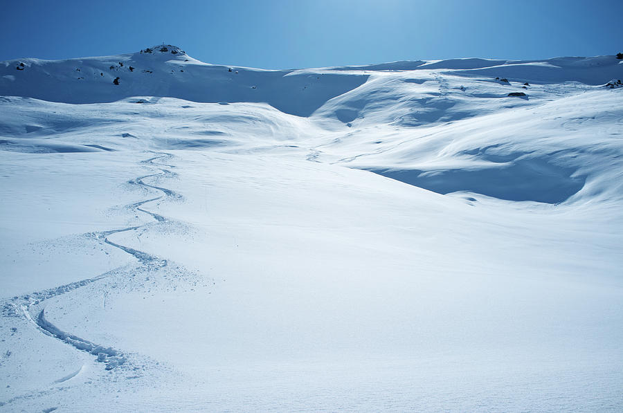 Ski Tracks In Powder Snow By Ra Photos