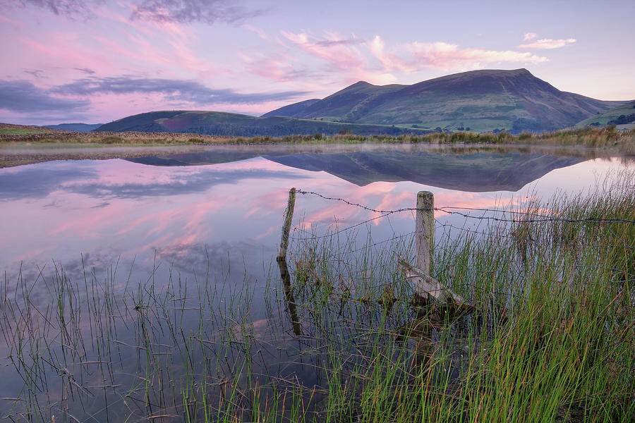 Skiddaw Photograph by Phil Buckle