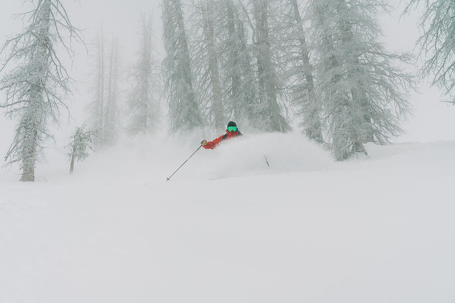Mountain Photograph - Skier In Powder At Wolf Creek by Cavan Images