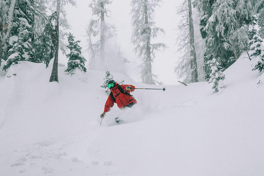 Skier Skiing Powder Through Trees In Colorado Photograph by Cavan ...