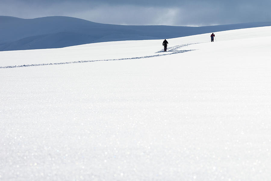 Skiers Photograph by Øyvind Tufto