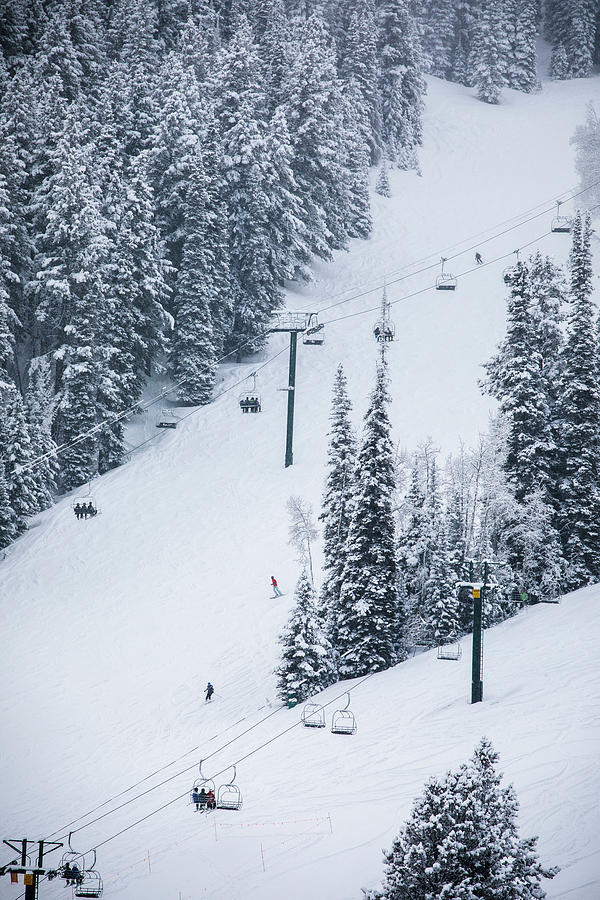 Skiing At Deer Valley, Utah, Near Salt Lake City During Winter. Photograph by Cavan Images