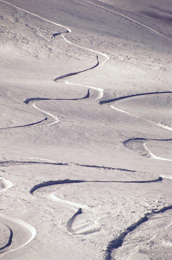 Skiing Tracks Photograph by John Foxx