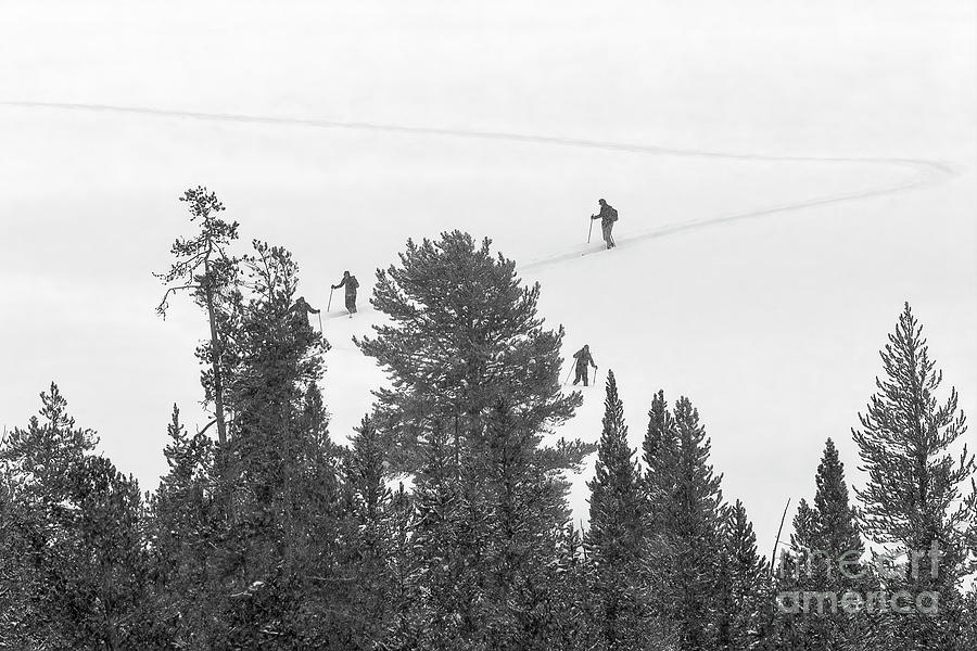 Skiing Yellowstone National Park Photograph by Priscilla Burgers