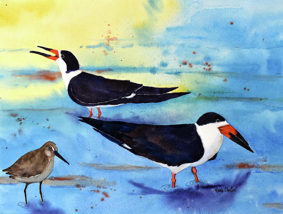 Bird Painting - Skimmer Scape by Renee Chastant