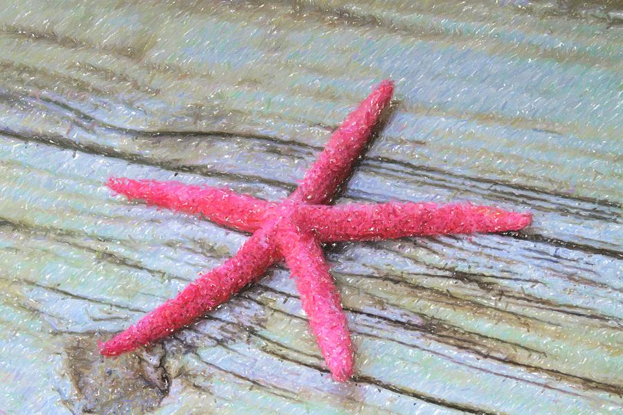 Pink Star Fish Back Pocket Denim Stock Photo 378166618