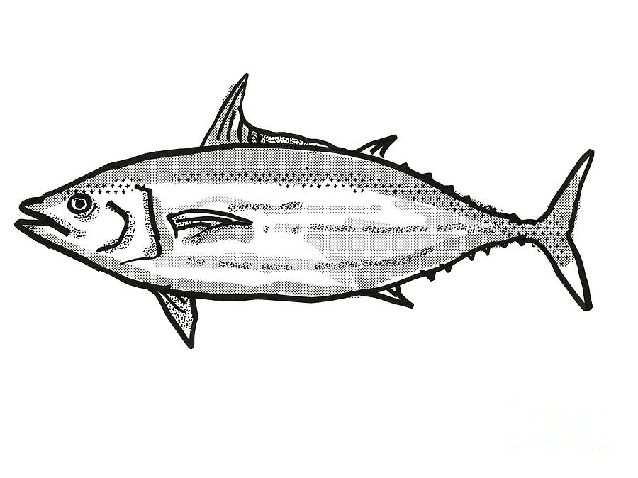 Skipjack Tuna Australian Fish Cartoon Retro Drawing Digital Art by Aloysius  Patrimonio - Fine Art America