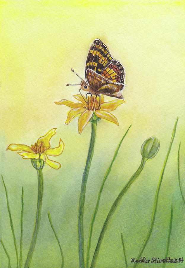Butterfly Painting - Skipper Butterfly by Heather Stinnett