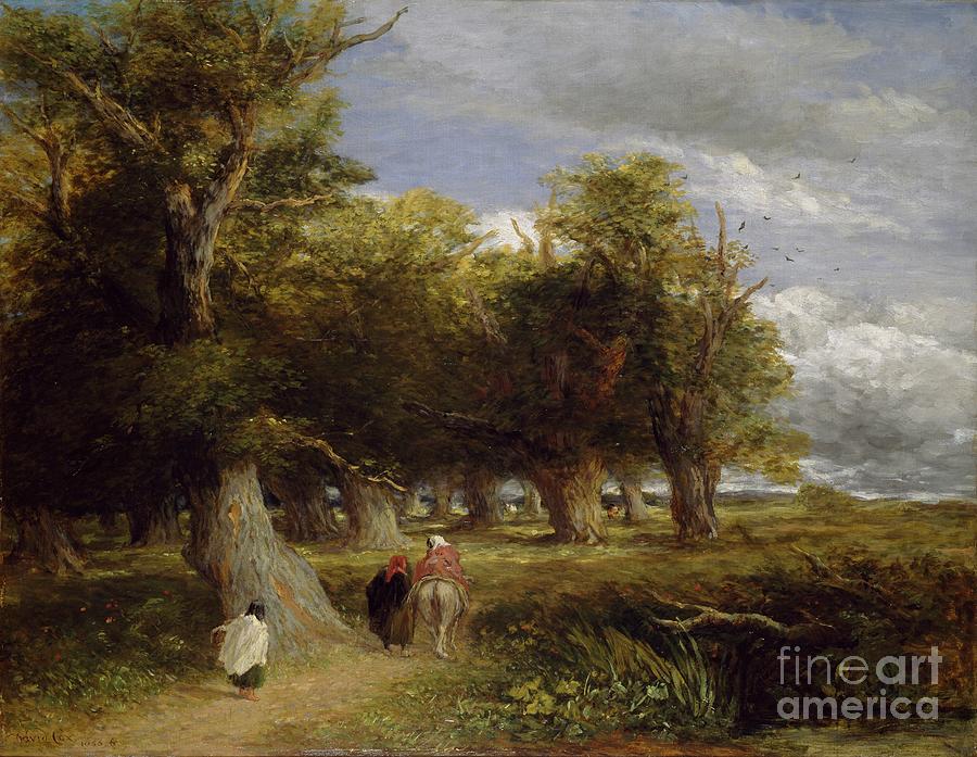 Skirts Of The Forest, 1855 Painting by David Cox