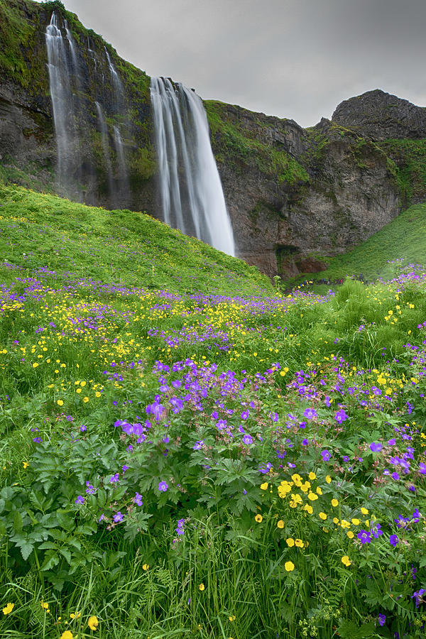 Skogafoss Waterfall Iceland 7011904 by Rick Veldman Skogafoss Waterfall Iceland 7011904 by Rick Veldman