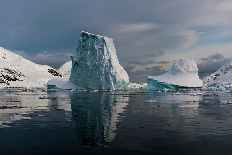 Skontorp Cove, Paradise Bay, Antarctica Digital Art by Delta Images ...