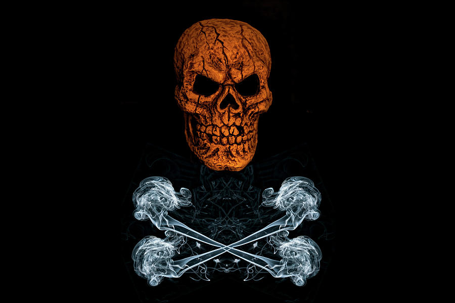 Skull And Crossbones 1 Photograph by Steve Purnell