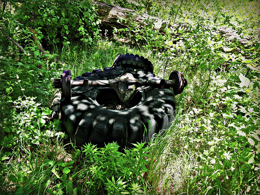 Skull and Tire Photograph by Cyryn Fyrcyd
